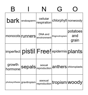 PLANTS Bingo Card