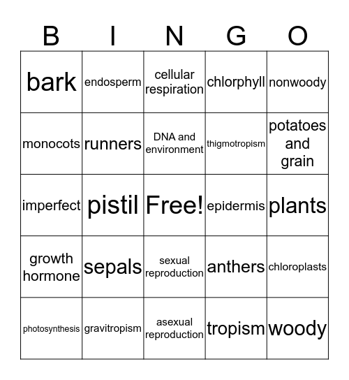 PLANTS Bingo Card