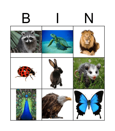 arabic alphabet Bingo Card