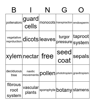 Plantae Bingo Card