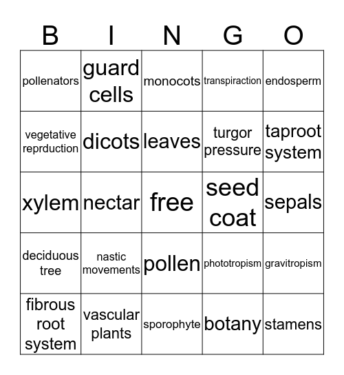 Plantae Bingo Card