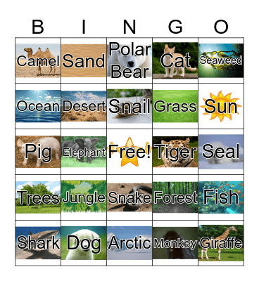 Animals & Habitats Bingo Card