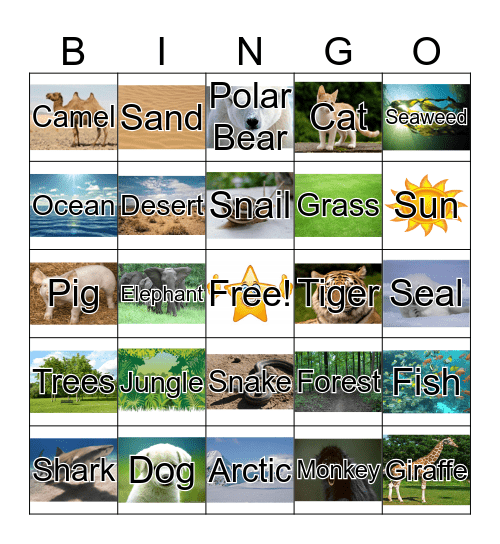 Animals & Habitats Bingo Card