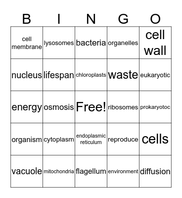 Study of Cells Bingo Card