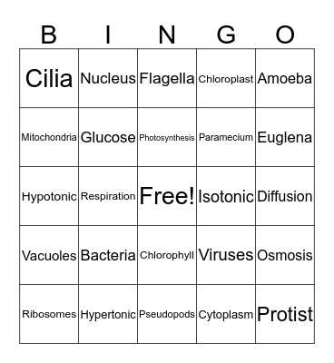 Cells and Cell Processes Bingo Card