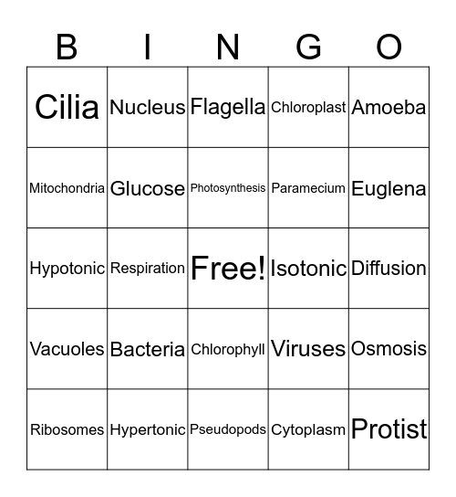Cells and Cell Processes Bingo Card