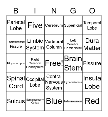 Central Nervous System Bingo Card