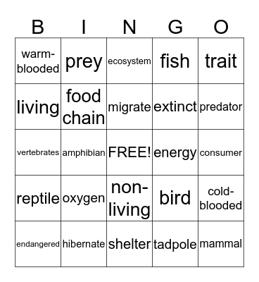 block 1 vocabulary Bingo Card