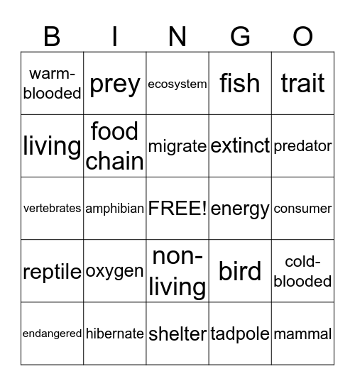 block 1 vocabulary Bingo Card