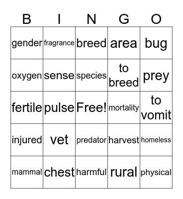 Chapter 6 Bingo Card
