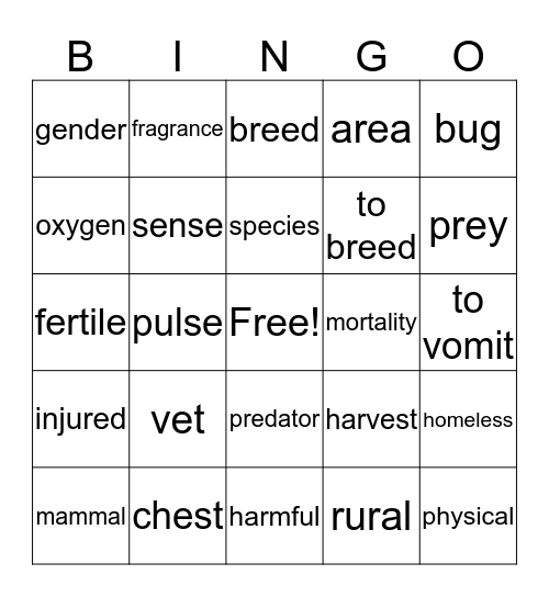 Chapter 6 Bingo Card