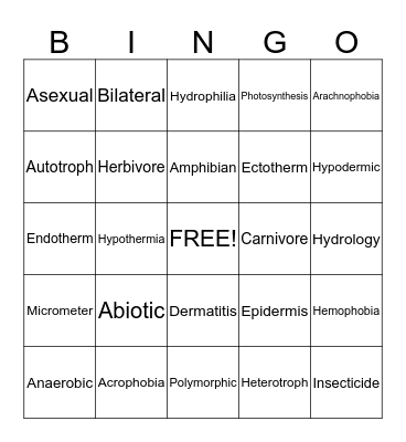 Science Language Bingo Card