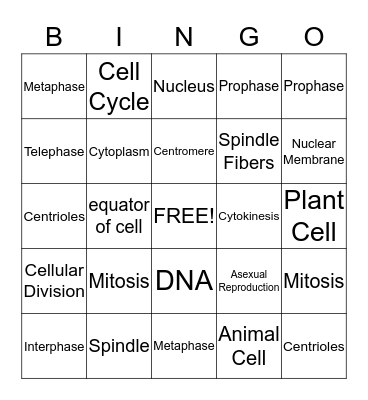 Cell Division Bingo Card Bingo Card