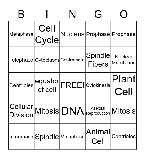 Cell Division Bingo Card Bingo Card