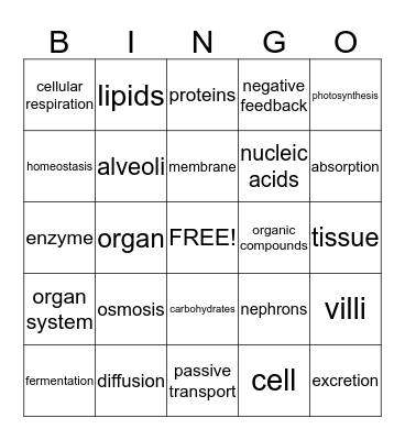 Human Biology and Cellular Processes Bingo Card