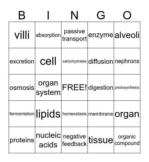 Human Biology and Cellular Processes Bingo Card