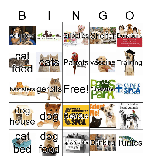 Evan & Adam's Pet Rescue Bingo Card