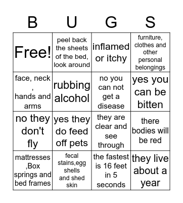 bed bugs Bingo Card