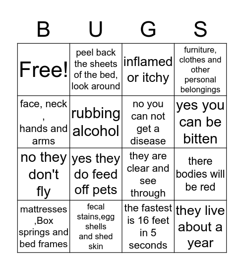 bed bugs Bingo Card