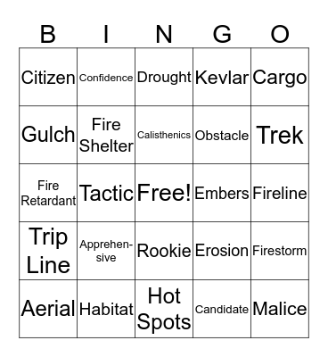 Stormjumpers Bingo Card