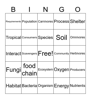 Ecosystem Vocabulary Bingo Card