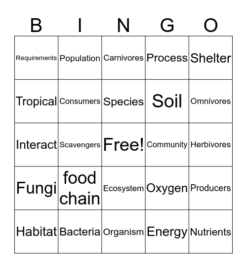 Ecosystem Vocabulary Bingo Card