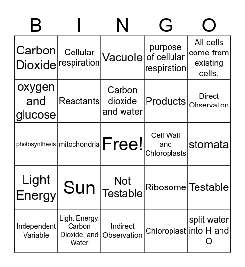 Cell Process Review Bingo Card