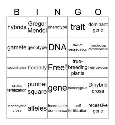 Genetics Bingo Card