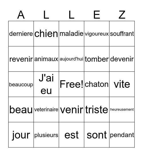 French II Semaine 20 Bingo Card
