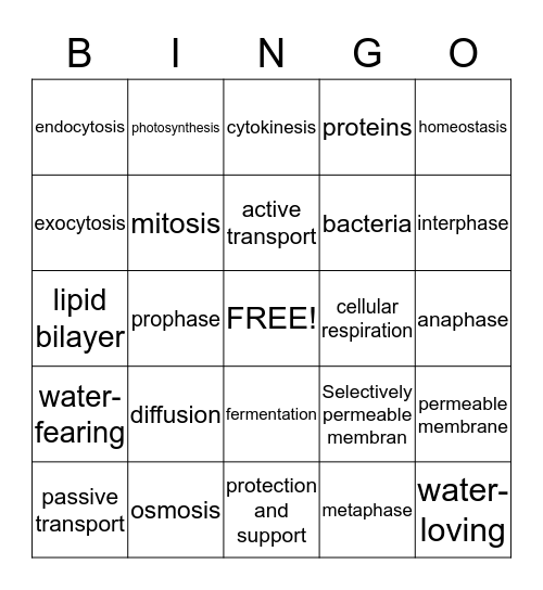 Cells and Cell Movement Bingo Card