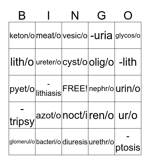 Urinary System Bingo Card
