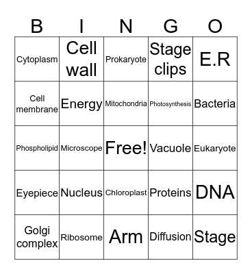 Science Bingo! Bingo Card