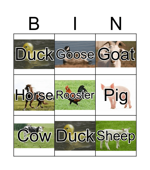 Farm Animals Bingo Card