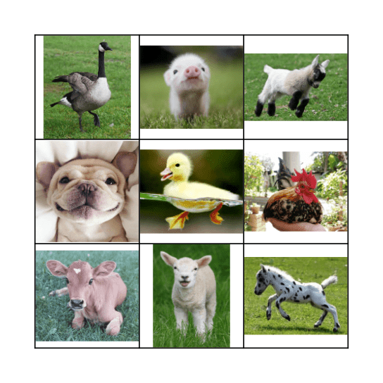 ECE SPRING 2018 NORTON Bingo Card