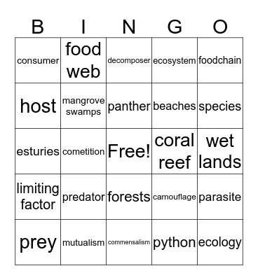 Hailey Bingo Card