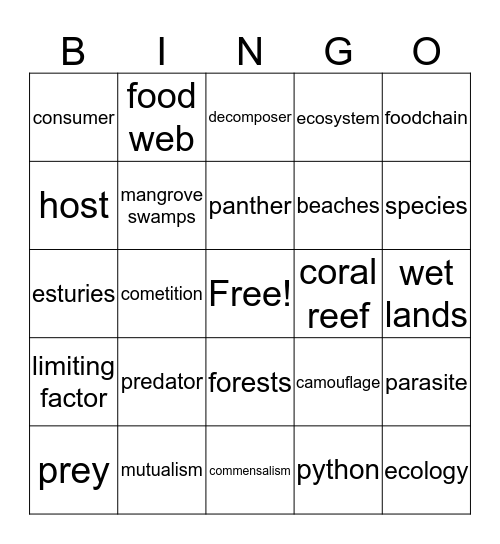 Hailey Bingo Card