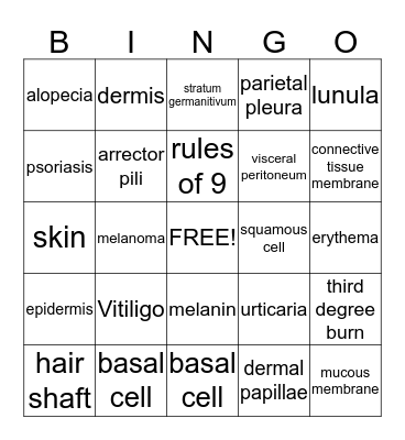 Integumentary System Bingo Card