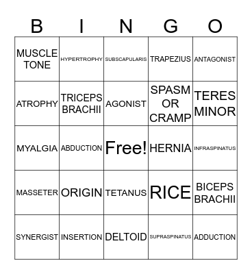 ISM - Muscular System Bingo Card