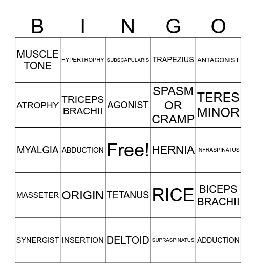 ISM - Muscular System Bingo Card