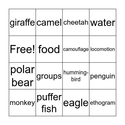 Animal Behavior Bingo Card