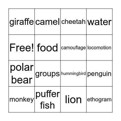 Animal Behavior Bingo Card