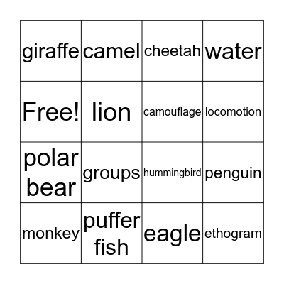 Animal Behavior Bingo Card