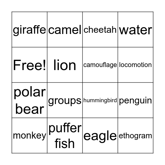Animal Behavior Bingo Card