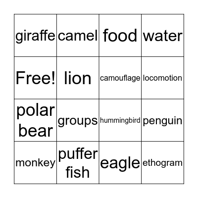 Animal Behavior Bingo Card