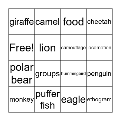 Animal Behavior Bingo Card