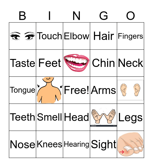 Body Part Bingo Card