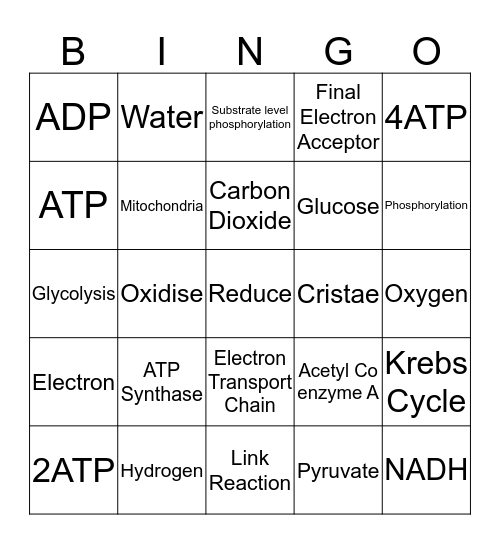 Respiration Bingo Card