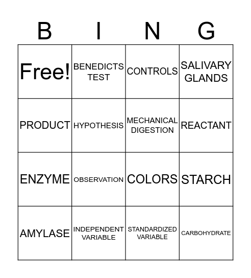 ENZYME LAB Bingo Card