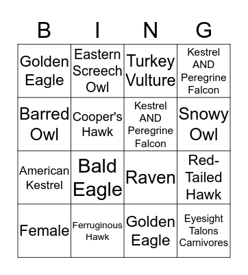 Raptor Bingo Card