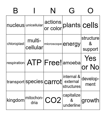 Classification Review Bingo Card